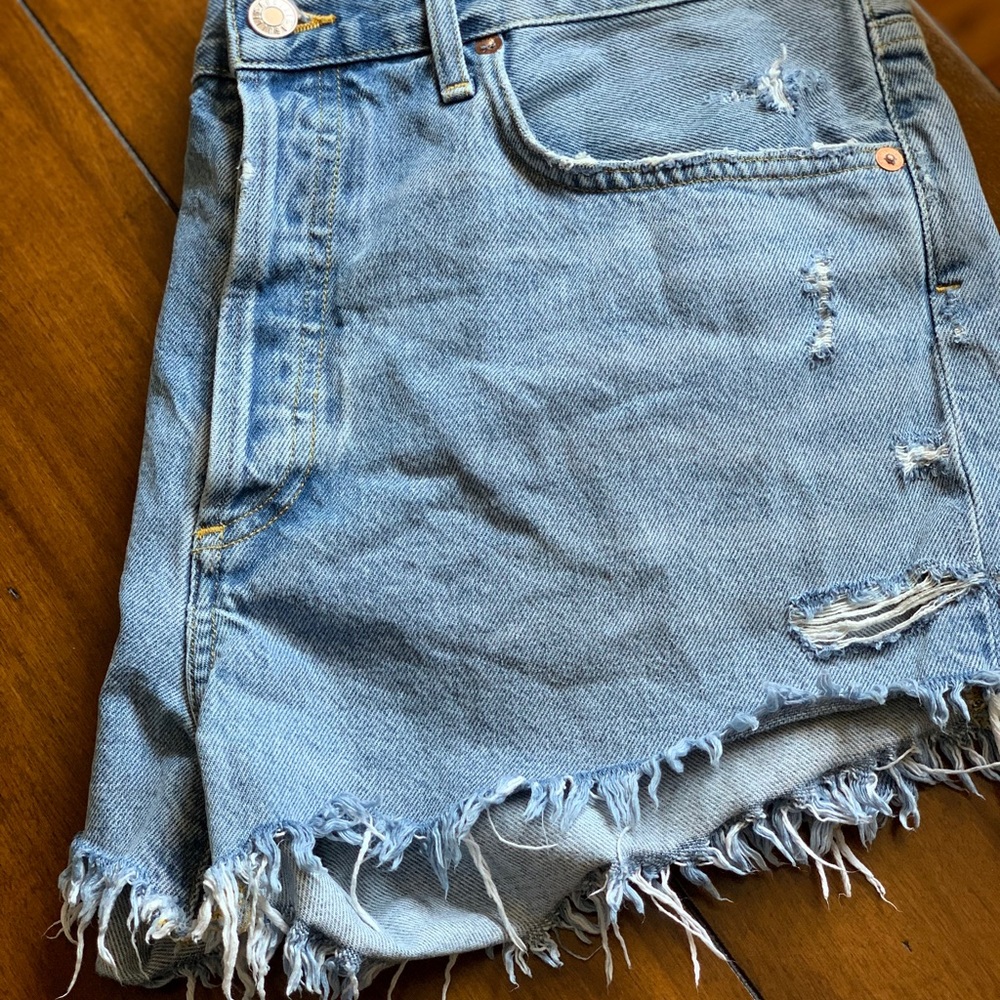 Agolde Vintage Parker Cut Off Short